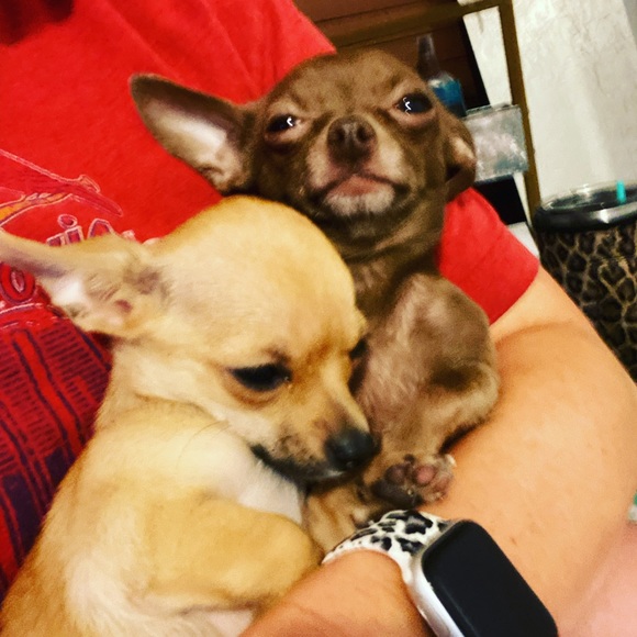 Meet your Posher, Jamie - Picture 1 of 1